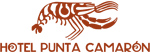 Hotel Punta Camaron Logo